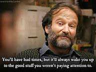 Robin Williams dans Wild Hunting